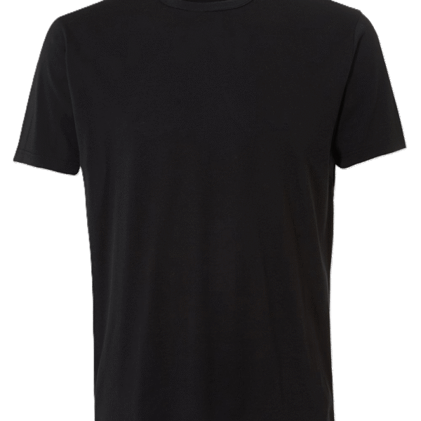 Gilden adult t shirts2